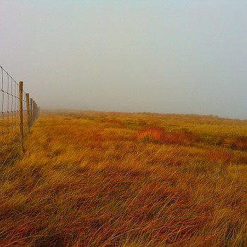 autumnfence-1024x768