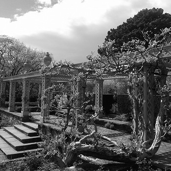bodnantgardenbw-979x1305
