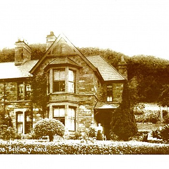 The Ferns 1910s