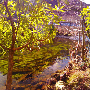 glaslynriverllyndinas-768x1024
