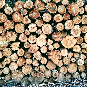 logslogslogs-1024x576