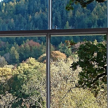 A room with a view (Room 2)