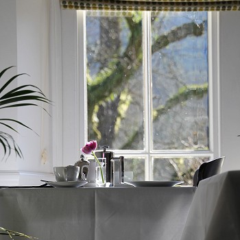 The Ferns breakfast roomview