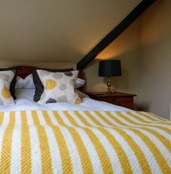 Room 5 detail